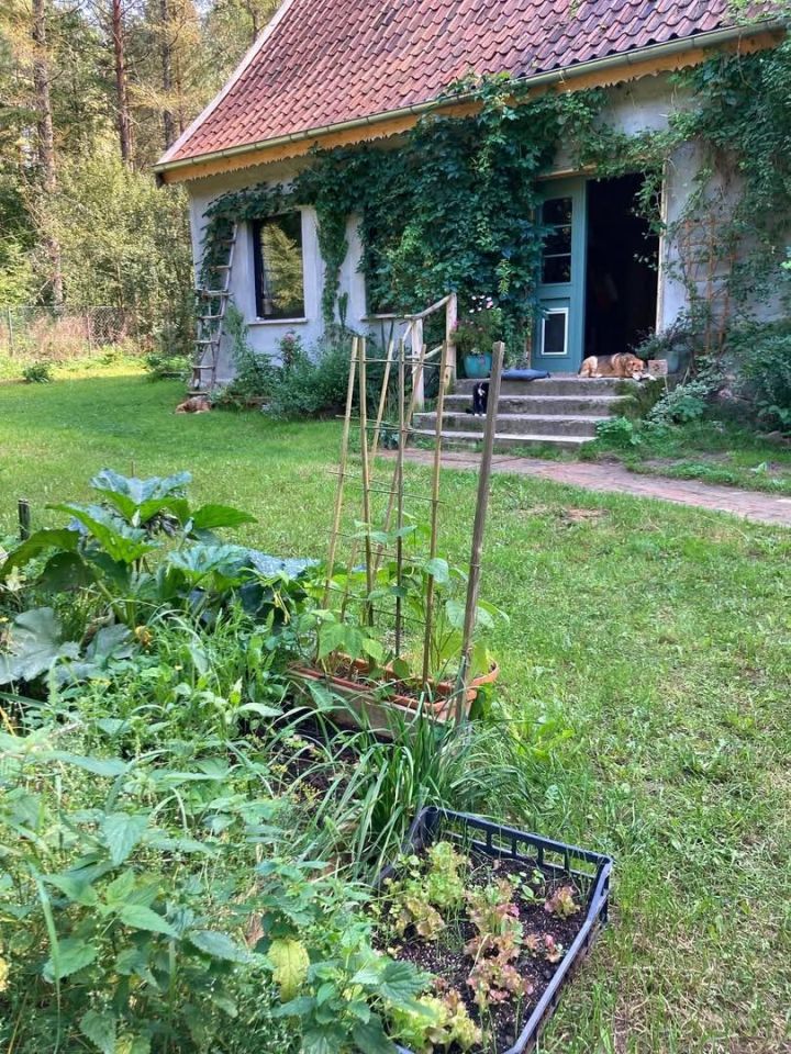 dom wolnostojący, 5 pokoi Łaniewo. Zdjęcie 23