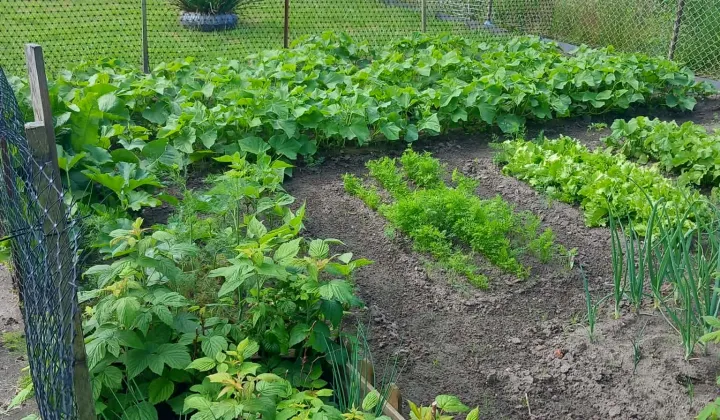 Działka rod Stargard Centrum, ul. Michała Drzymały