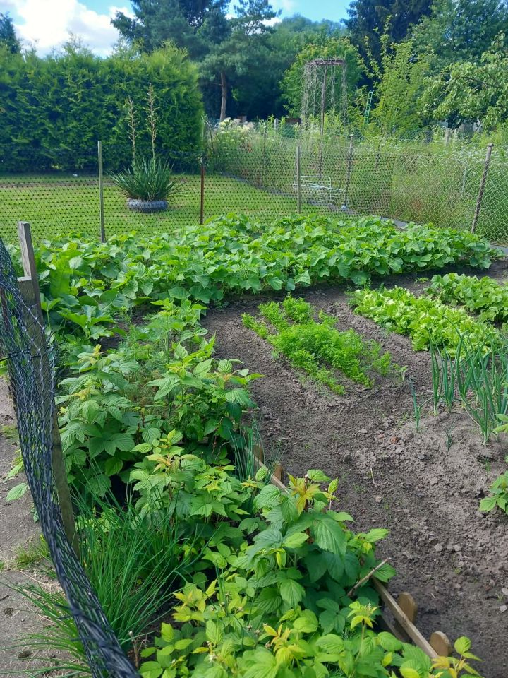Działka rod Stargard Centrum, Drzymały. Zdjęcie 4