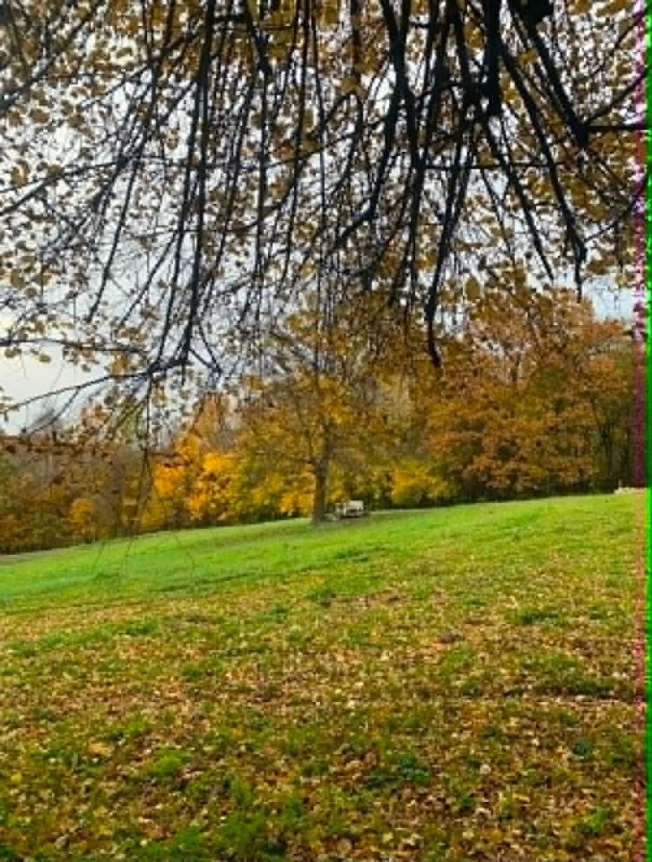 Działka rolno-budowlana Kazimierz Dolny, ul. Doły. Zdjęcie 6