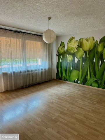 Mieszkanie 1-pokojowe Częstochowa Północ, ul. Starzyńskiego. Zdjęcie 1