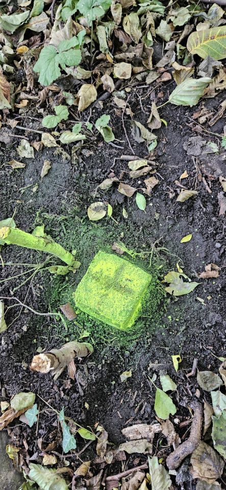 Działka budowlana Kiekrz, ul. Podjazdowa. Zdjęcie 9