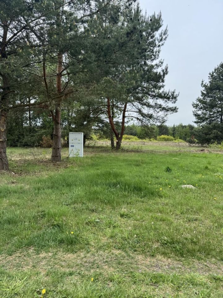 Działka rolno-budowlana Prace Małe. Zdjęcie 3