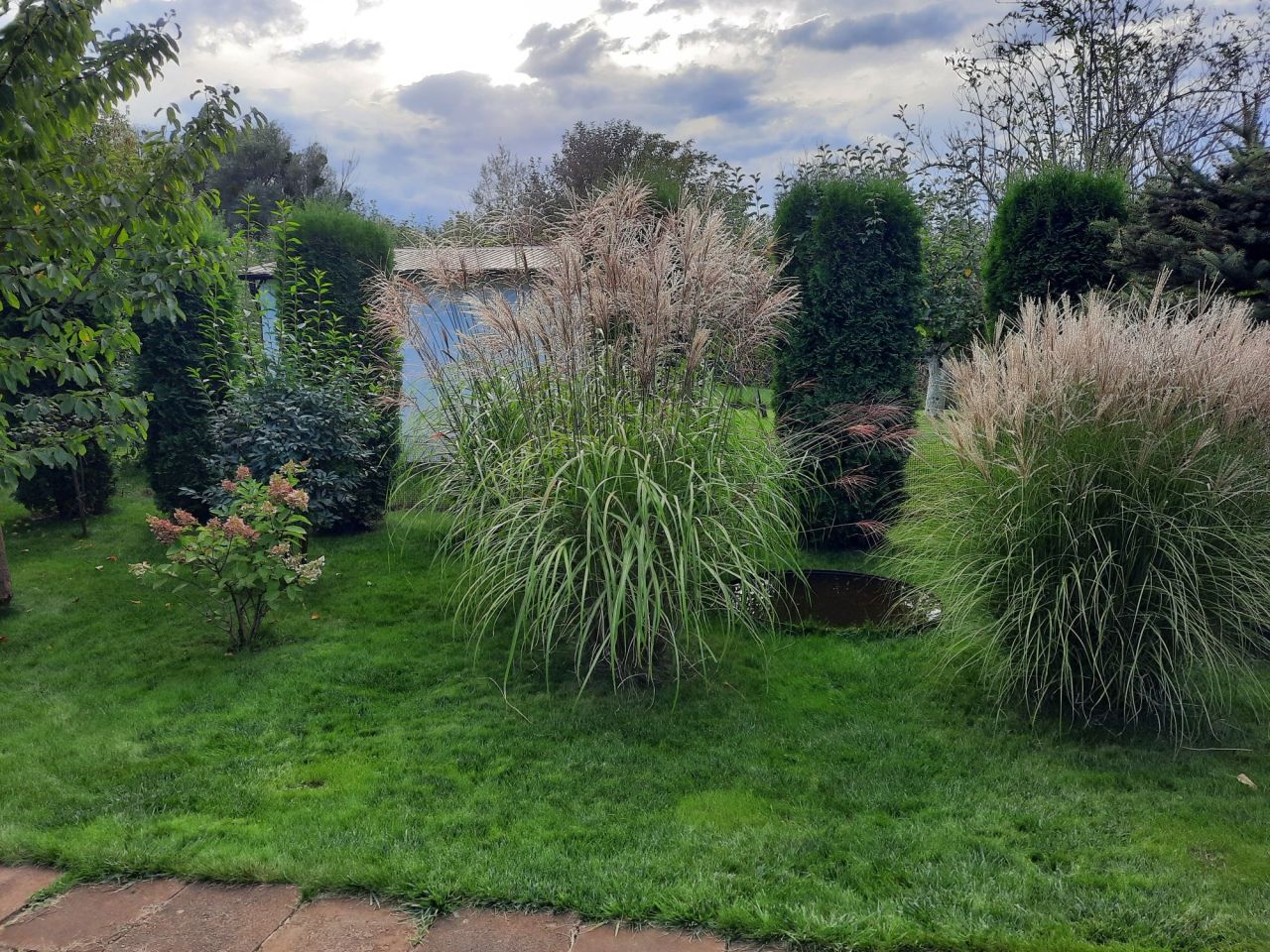 Działka rod Toruń, ul. Stanisława Przybyszewskiego. Zdjęcie 6