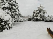 Działka budowlana Jaworze Jaworze Górne, ul. Zawilcowa. Zdjęcie 4