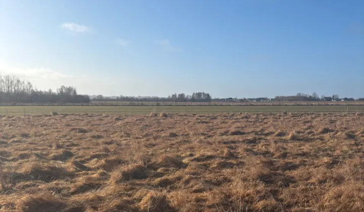 Działka budowlana Koszalin Jamno, ul. Wiosenna