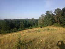 Działka rolno-budowlana Mnichy. Zdjęcie 1