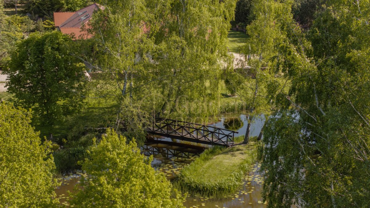 dom wolnostojący, 8 pokoi Przyjaźń, ul. Nowowiejska. Zdjęcie 11