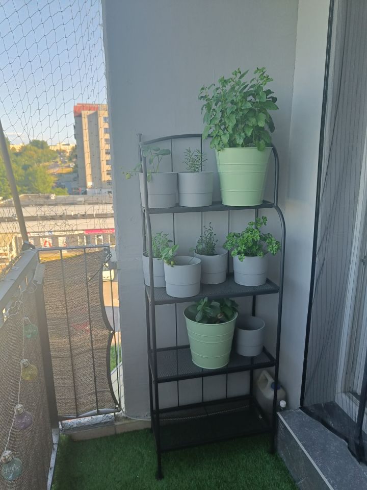 Mieszkanie 5-pokojowe Zielona Góra Przyjaźń, ul. Stefana Wyszyńskiego. Zdjęcie 12