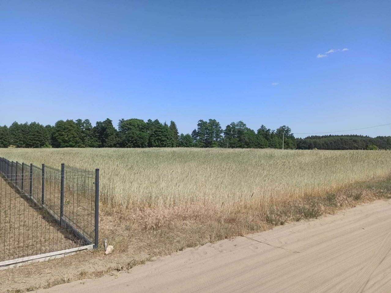 Działka budowlana Ostrowite Prymasowskie