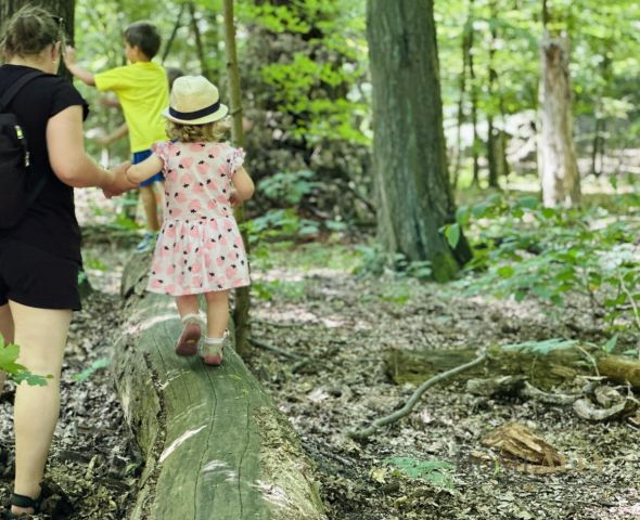 Mieszkanie 4-pokojowe Warszawa Żoliborz, ul. Potocka. Zdjęcie 17