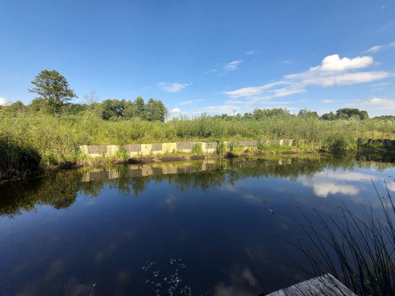 Działka leśna Annopol. Zdjęcie 2