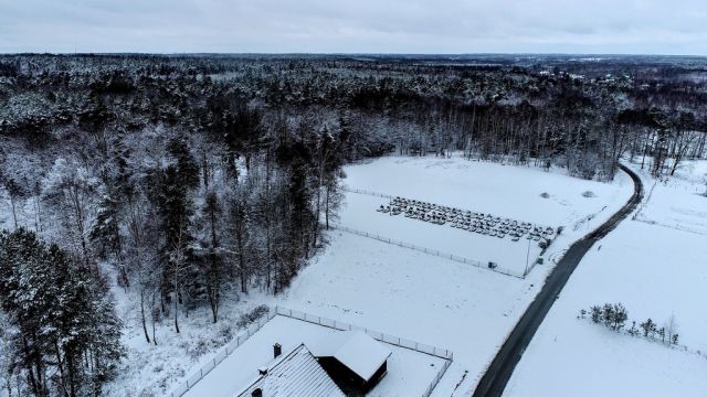 dom wolnostojący, 8 pokoi Głogów Małopolski, ul. Spacerowa. Zdjęcie 36