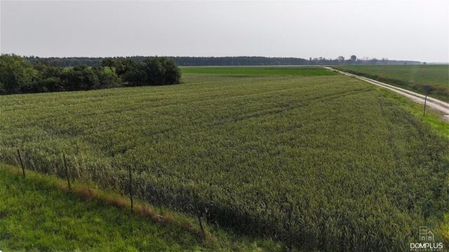 Działka rolno-budowlana Samołęż. Zdjęcie 5