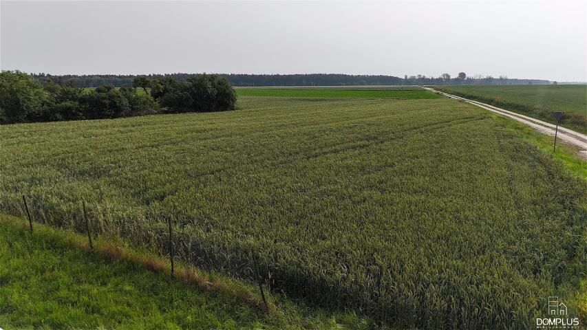 Działka rolno-budowlana Samołęż. Zdjęcie 5