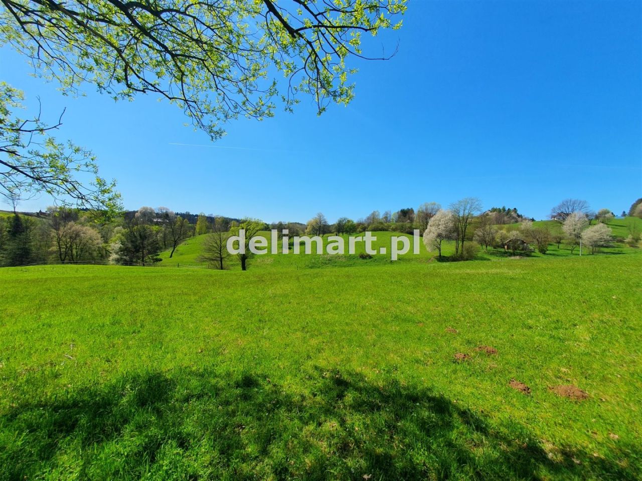 Działka budowlana Postołów. Zdjęcie 4