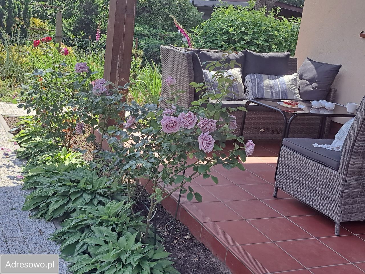 Działka rod Poznań Ławica, ul. Bukowska. Zdjęcie 10