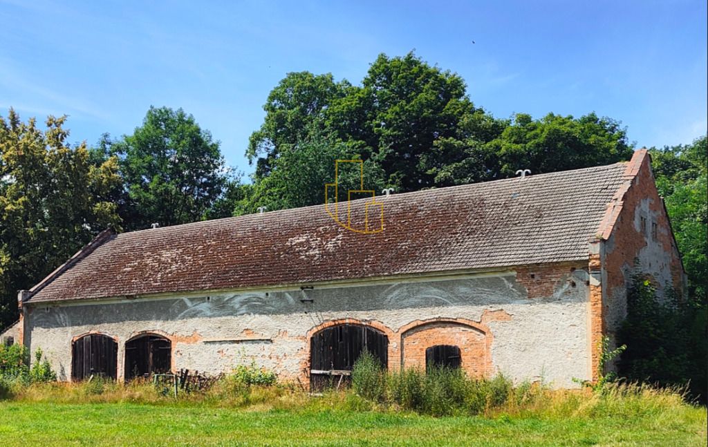 Działka inwestycyjna Wojciechów. Zdjęcie 10