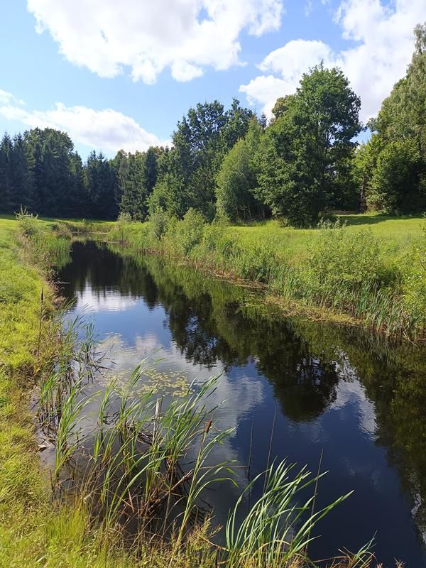 dom wolnostojący, 11 pokoi Grabowska Huta, ul. Gdyńska. Zdjęcie 9