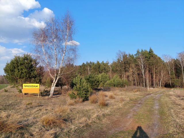 Działka rolna Samorządki-Kolonia. Zdjęcie 2