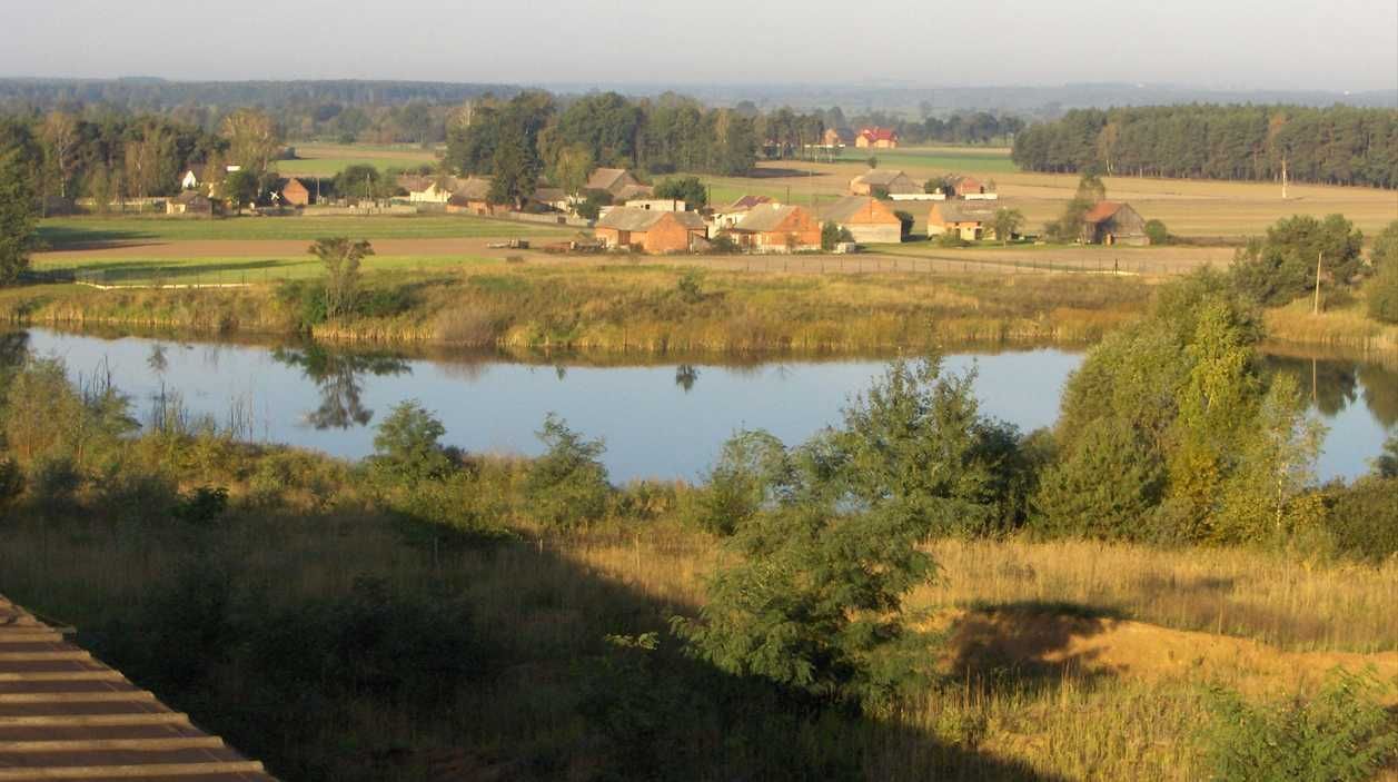 Hala/magazyn Masanów, ul. Lipowa. Zdjęcie 8