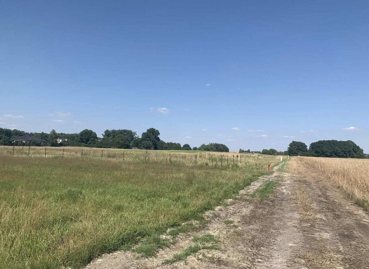 Działka budowlana Pamiątkowo, ul. Szamotulska. Zdjęcie 4