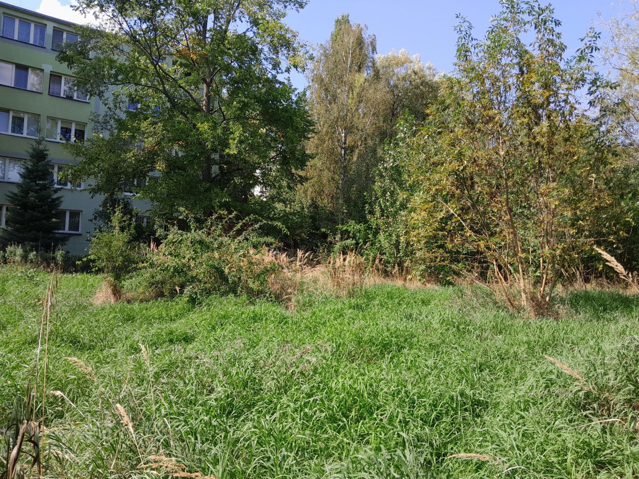 Działka inwestycyjna Łódź Widzew, ul. Zapadła. Zdjęcie 4