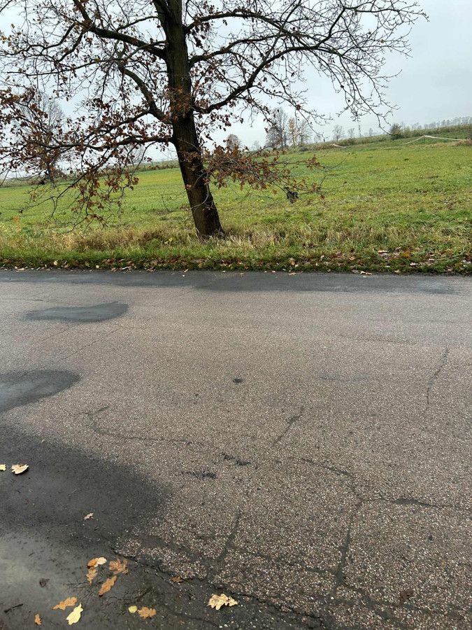 Działka rolno-budowlana Gronowo Elbląskie, ul. Elbląska. Zdjęcie 9