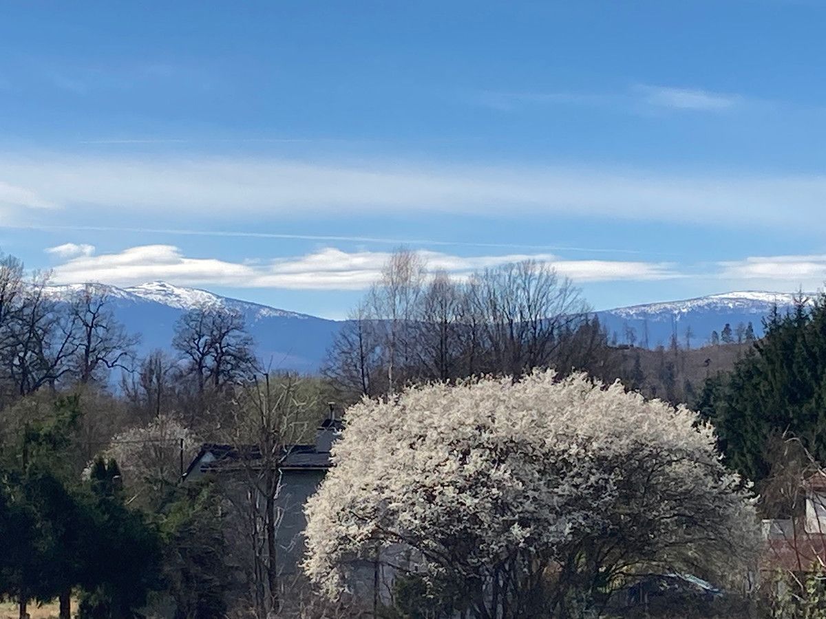 Działka budowlana Jelenia Góra Grabary. Zdjęcie 6