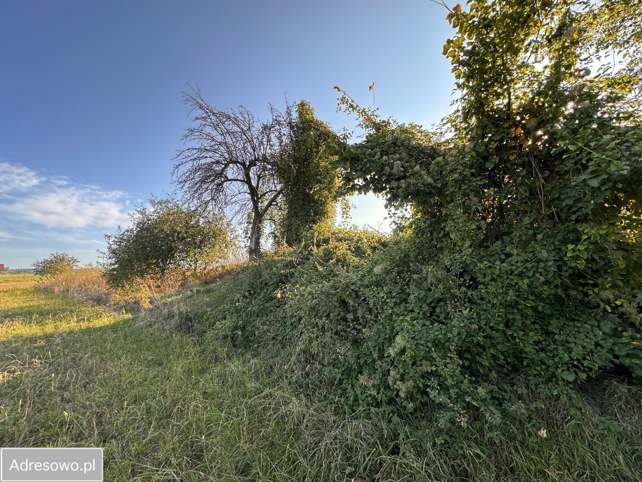 Działka rolno-budowlana Czachów. Zdjęcie 4