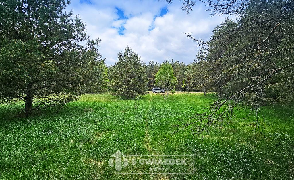 Działka siedliskowa Czochryń. Zdjęcie 5