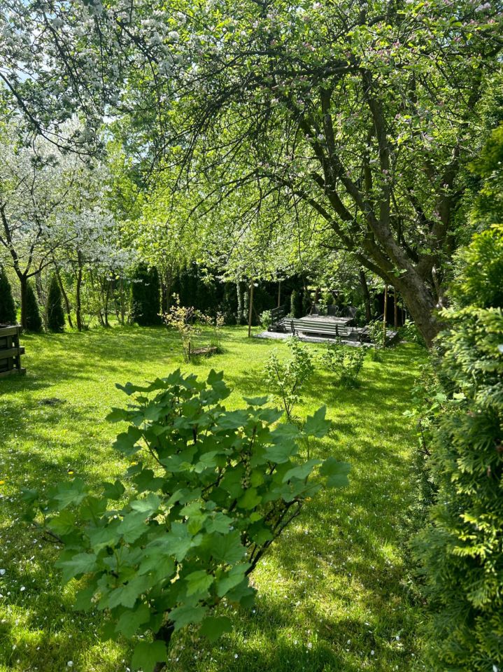 Działka rod Gorlice, ul. Błażeja i Stanisława Wrońskich. Zdjęcie 6