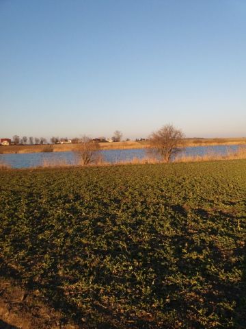 Działka rolna Kuczwały. Zdjęcie 1