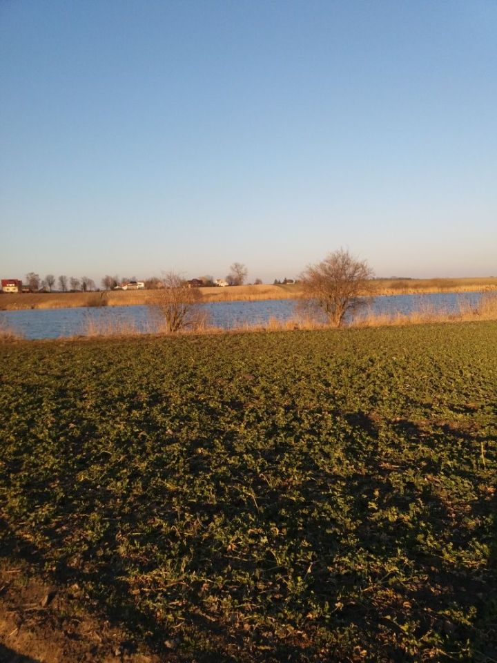 Działka rolna Kuczwały. Zdjęcie 1