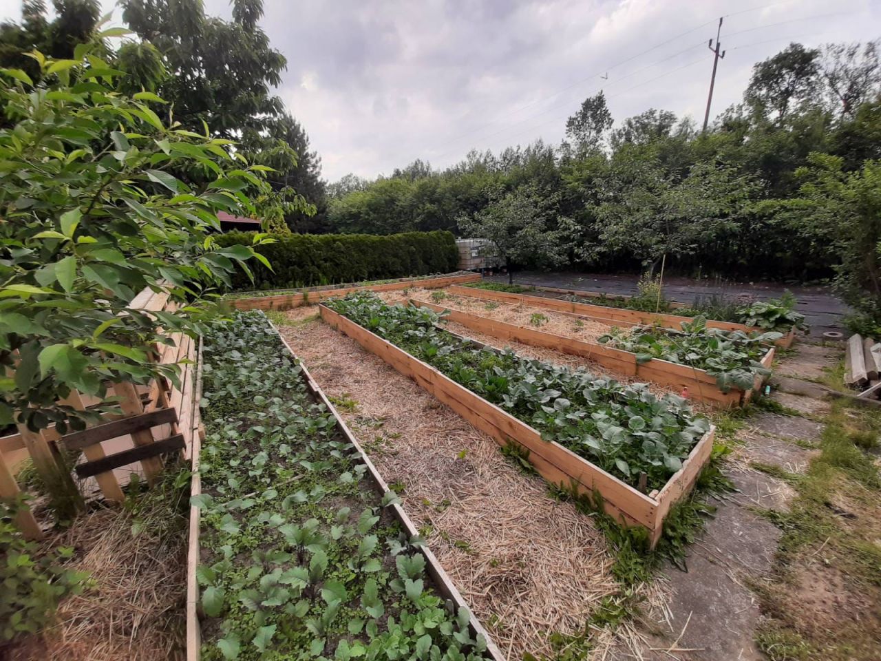 dom wolnostojący Sobącz. Zdjęcie 48