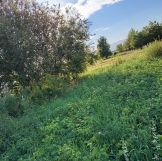 Działka rolno-budowlana Wojszyn. Zdjęcie 2