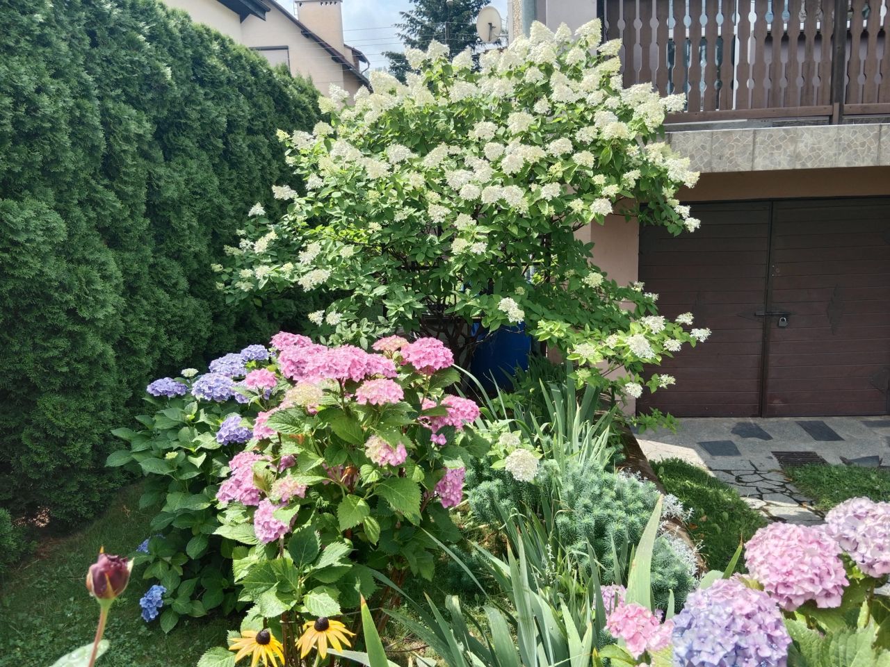 Mieszkanie 3-pokojowe Bielawa, bielawa. Zdjęcie 2