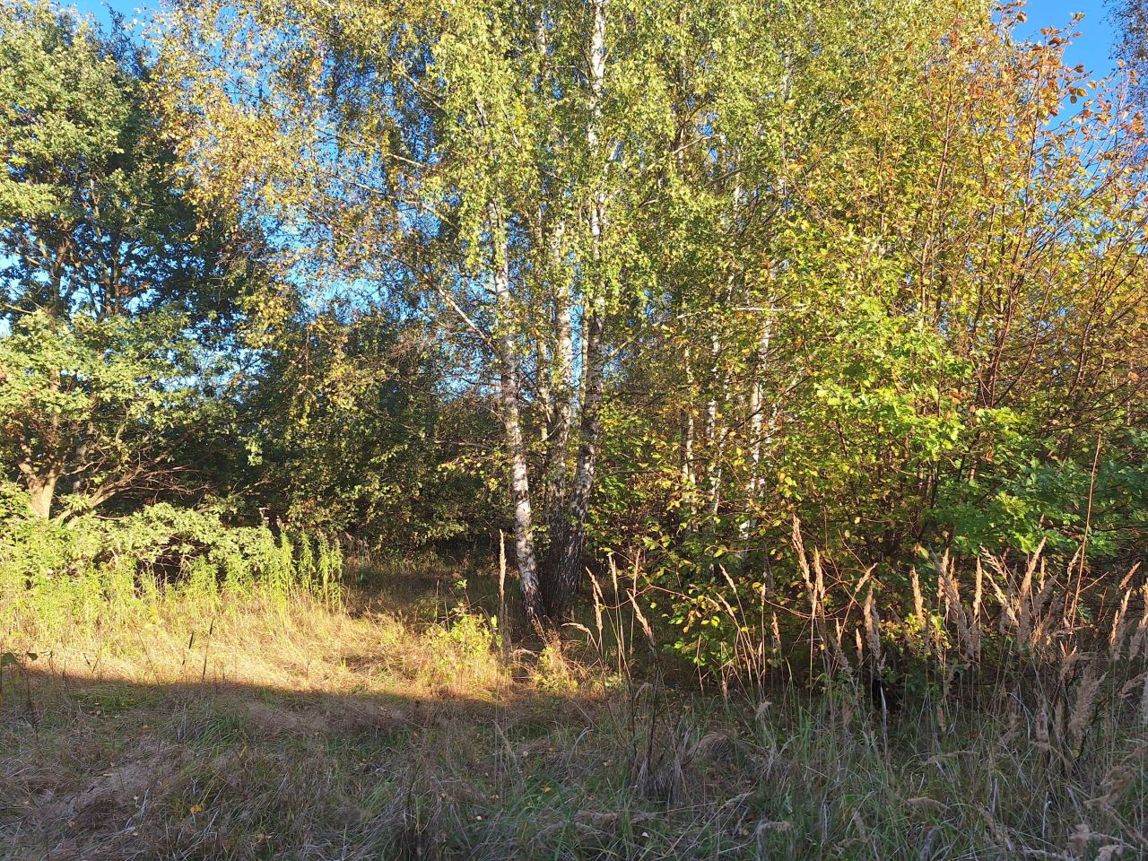 Działka budowlana Poręba Krawce, ul. Główna. Zdjęcie 3