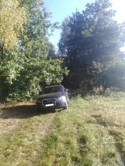 Działka leśna Wilkowyja. Zdjęcie 3