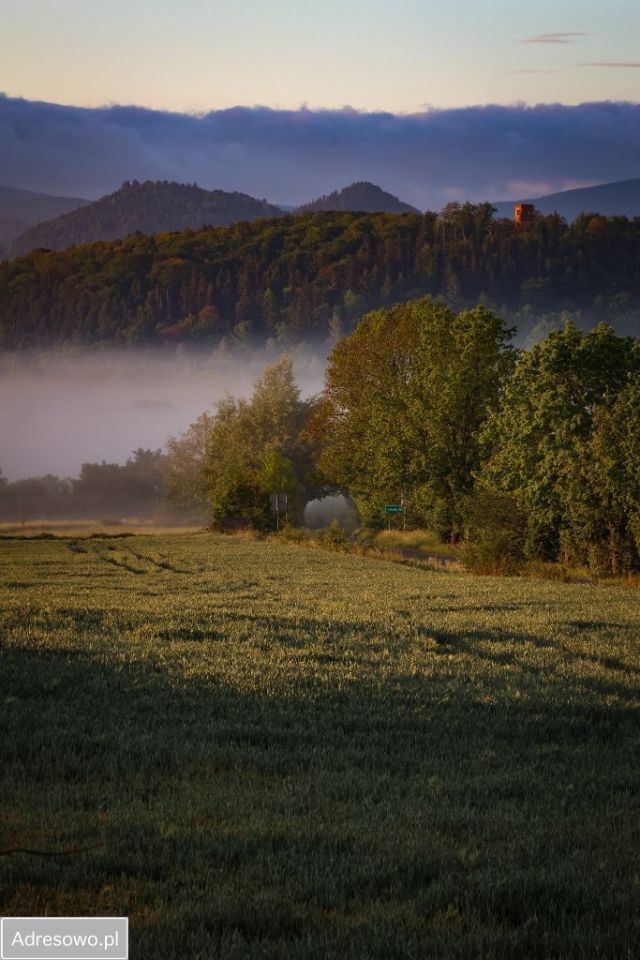Lokal Dziwiszów, ul. Karkonoska. Zdjęcie 7