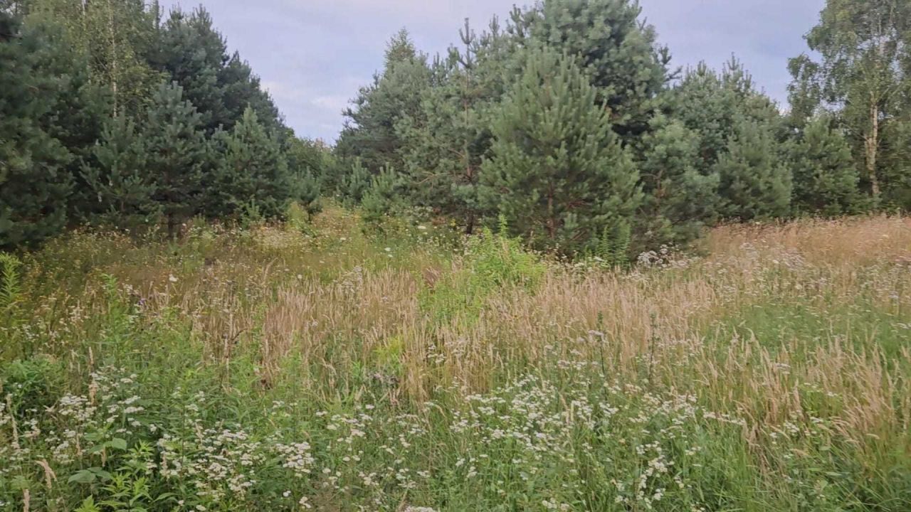 Działka rekreacyjna Mielno