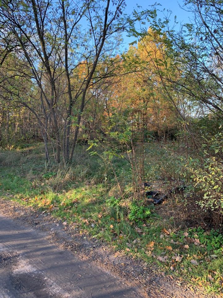 Działka budowlana Grębocin Kolonia Papowska, ul. Okrężna. Zdjęcie 5