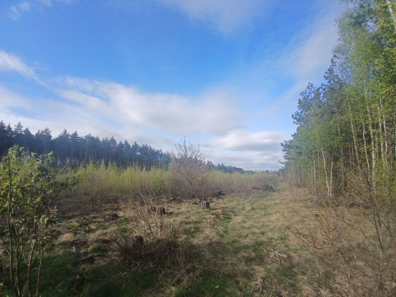 Działka inwestycyjna Rudno Jeziorowe. Zdjęcie 5