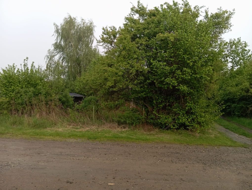 Działka rod Wrocław Wojnów. Zdjęcie 8