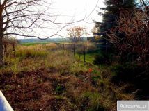 Działka siedliskowa Boleszkowice. Zdjęcie 3