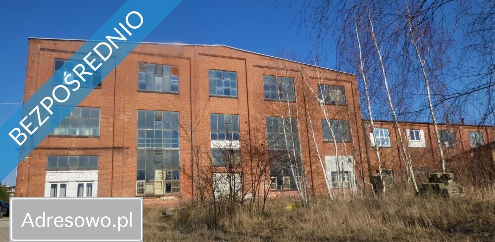 Hala/magazyn Ciechów. Zdjęcie 2