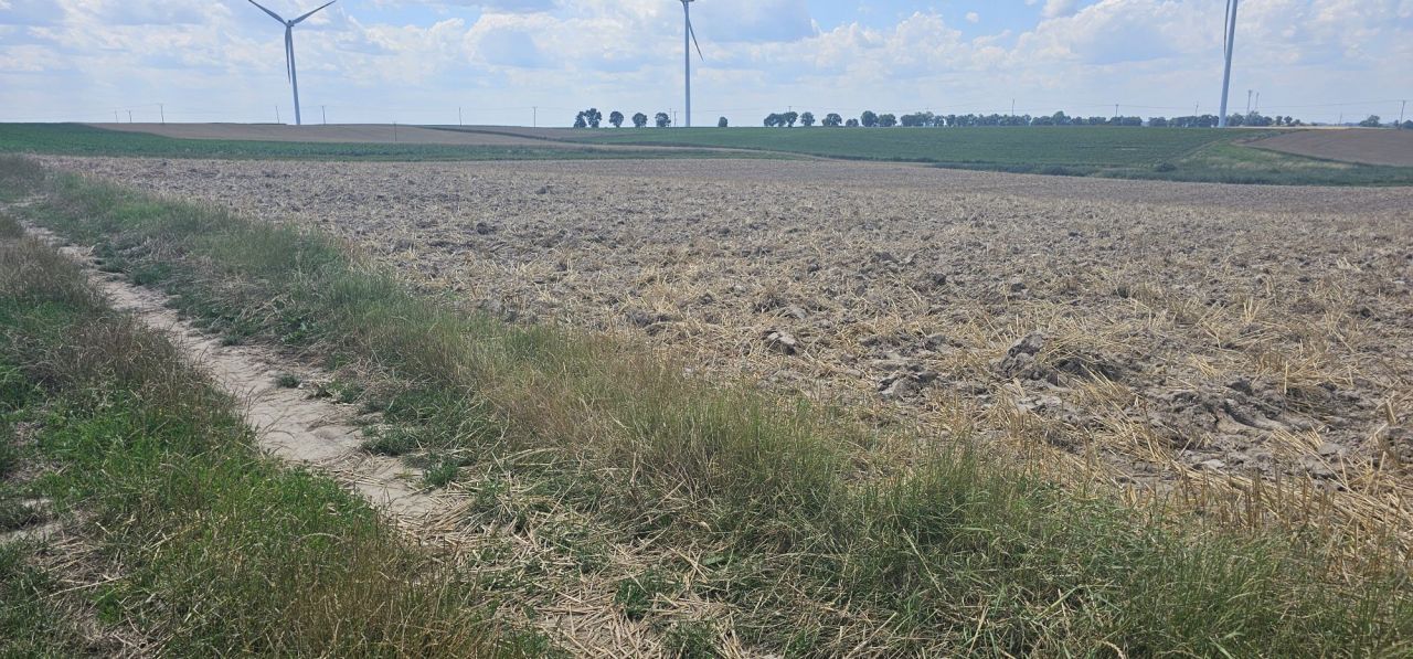 Działka rolna Tyszowce. Zdjęcie 5