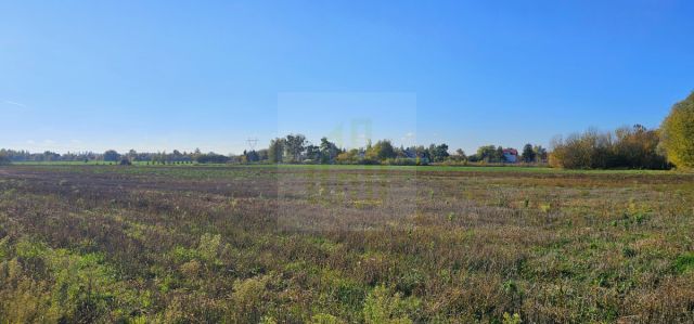 Działka budowlana Bieniewice, ul. Słowicza. Zdjęcie 8