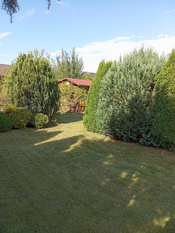 Działka rod Płock Radziwie. Zdjęcie 4