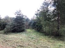 Działka budowlana Gonty, ul. Przy Rybakówce. Zdjęcie 4